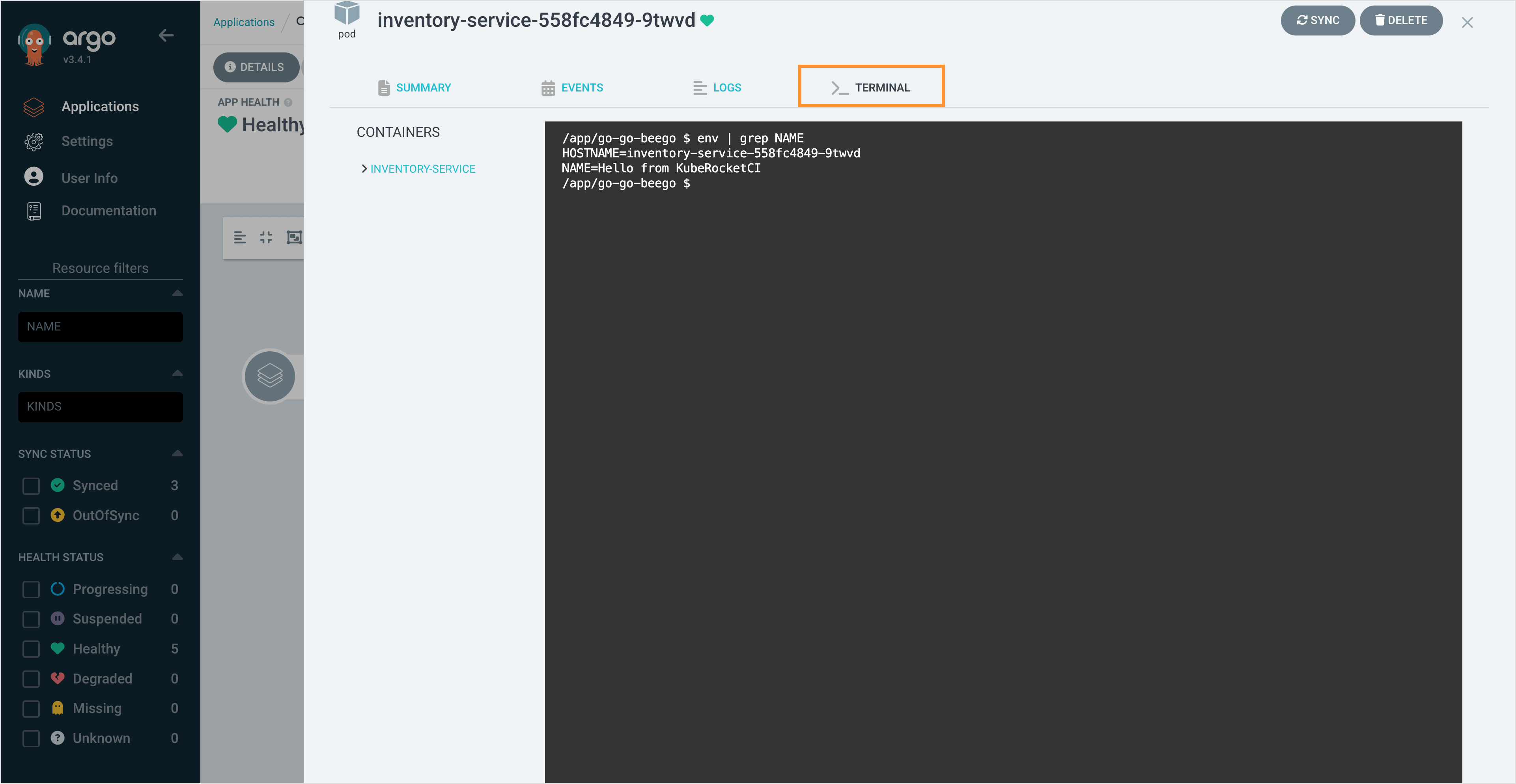 Application terminal (Argo CD)