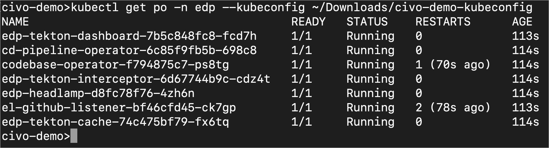KubeRocketCI pods KubeRocketCI pods